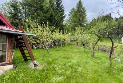 Vila vacanta Cheia - Prahova, pretabila pentru investitie - 35