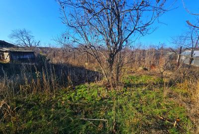 Casă 4 camere, garaj + spațiu comercial |  Sat Nedelea - 20