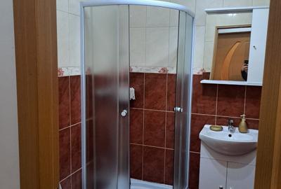 Inchiriere Apartament 2 Camere Renovat Petfriendly Piata Progresul - 9