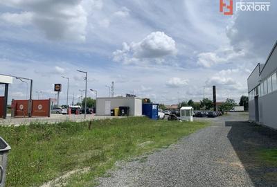 Teren de 712 mp de inchiriat cu acces auto la asfalt, calea Lugojului - 4