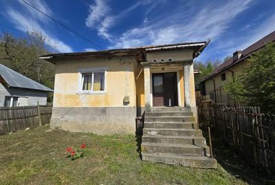 Casă individuală cu 2 camere cu Canalizare în Ștefănești - 1