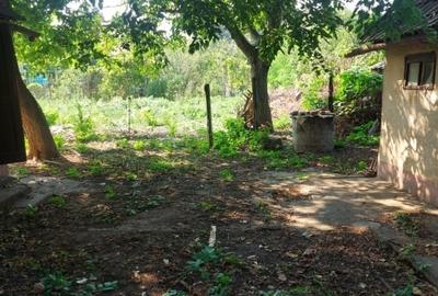 Casă individuală cu 3 camere cu Teren 500 Mp în 6 Vânători - 4