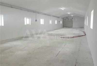 Spațiu comercial, de 370 mp, în Nicolae Bălcescu - 17