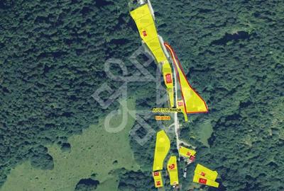 Teren de 2482 mp, în Bratca