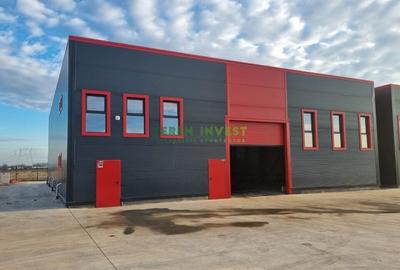 Hala Industriala de Vanzare  Locatie Ideala pentru Afacerea Ta! - 13