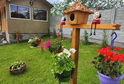 Casă cu Teren 7851 Mp în Măgura - 10