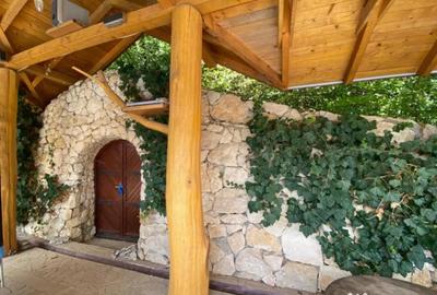 Casă cu 7 camere cu Teren 17000 Mp în Cărbunari - 13