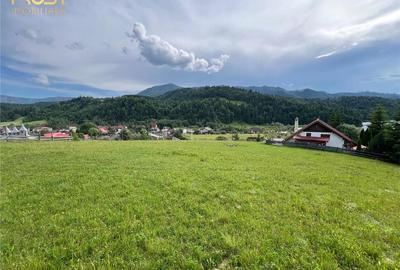Teren intravilan Colibita cu utilitati 3000 mp - 4