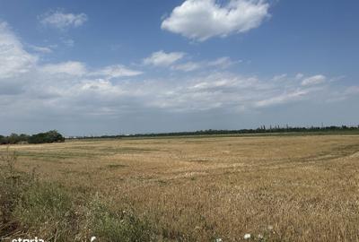 Teren de 19062 mp, în Vest