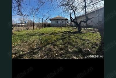 Casă cu Teren 2650 Mp în Boldești - 7