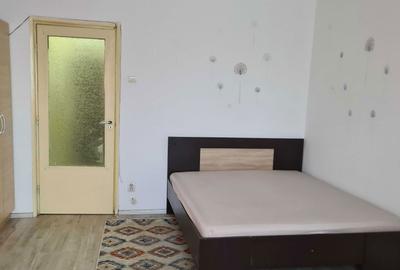 Garsonieră semidecomandată în Costin Georgian - 2