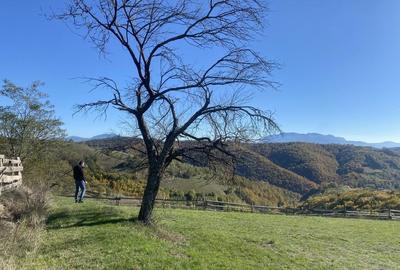 Spațiu comercial, în Central - 1