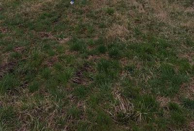 Teren de 15350 mp, în Oșorhei - 1