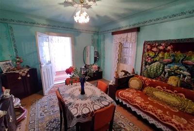 Casă individuală cu 8 camere cu Teren 3800 Mp în Răchitova - 23