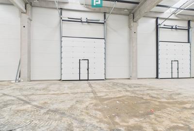 Spațiu industrial, de 200 mp, în Săcălaz - 1