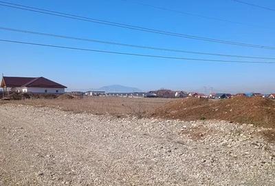 Casa tip duplex 120 mp Izvor - 7