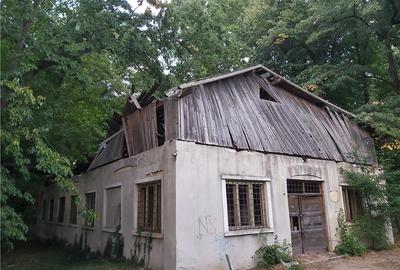 Casă cu 6 camere în Buziaș - 2