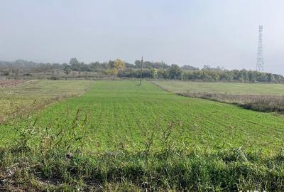 Teren de 5450 mp, în Central - 2