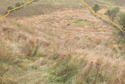 Teren de 7500 mp, în Central - 2