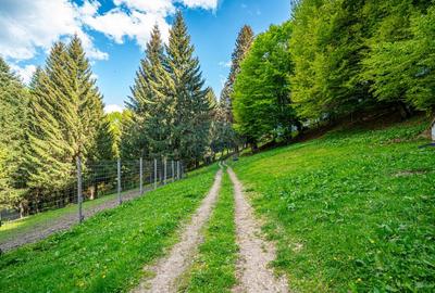 Teren intravilan cu potential turistic si de agrement, zona Trei Brazi - 23