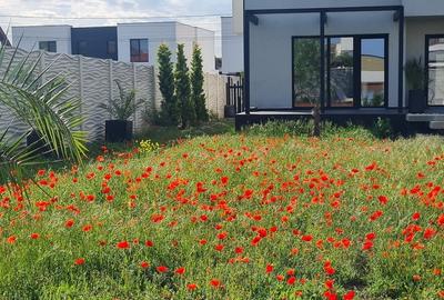 Casa de vanzare direct de la proprietar . - 13