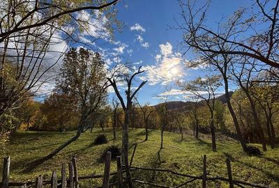 Spațiu comercial, în Central - 1
