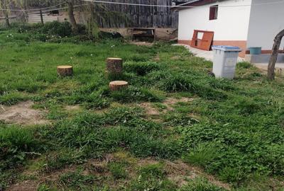 Casă cu 3 camere cu Teren 900 Mp în Central - 3