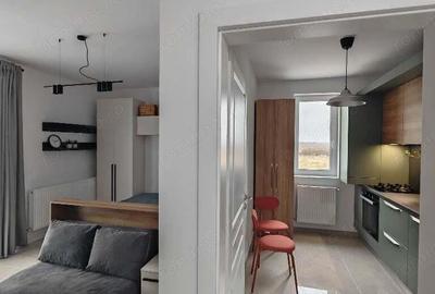Apartament cu 1 camere mobilat si utilat Calea Urseni - 9