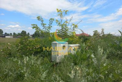 Teren Construcții intravilan de 350 mp, în Vidra - 8