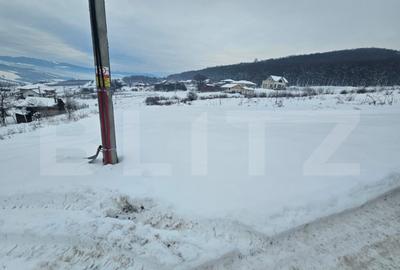 Teren extravilan Dealul Jelnei - 3