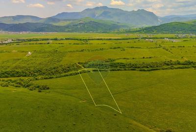 Teren 10,800mp Rasnov / Drumul DN73 - 10