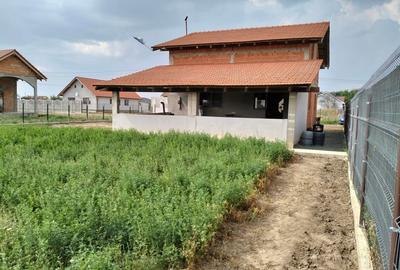 Casă cu 3 camere cu Teren 983 Mp în Peciu Nou - 9