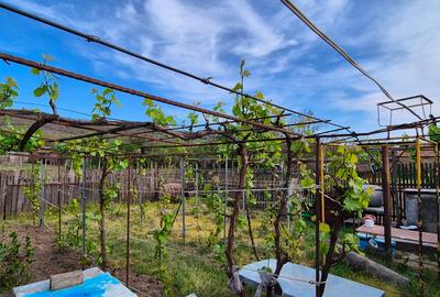 Casă individuală cu 3 camere cu Teren 2000 Mp în Izvoarele - 6