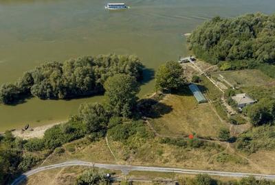 Teren de 8800 mp, în Pătlăgeanca - 7