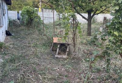 Casă cu 3 camere cu Teren 450 Mp în Răcari - 2