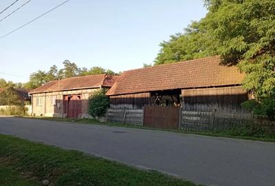 Vand casa Ohaba Romana - 5