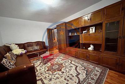 Apartament cu 2 camere de inchiriat in Lapus/Sucpi - 12