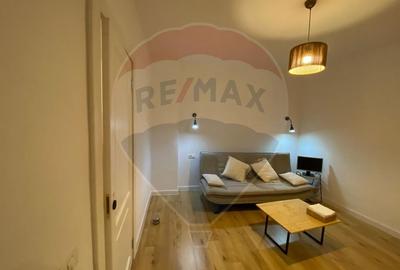 Casă cu 2 camere de închiriat în zona Tineretului - 16