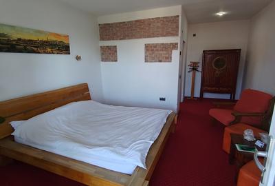 Pensiune si casa de locuit cu 3200 mp teren in Sibiu cartier Gusterita - 10