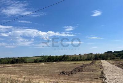 RECO Teren intravilan pentru casa- Les cu PUZ aprobat - 5