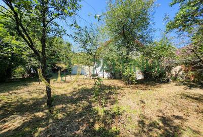 Casă Nucet, 864 mp teren cu pomi fructiferi – la 21 km de Sibiu - 5