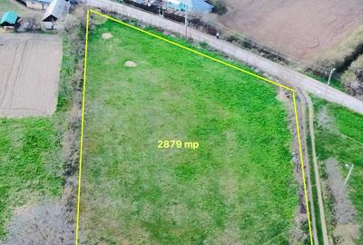 Teren Construcții intravilan de 2879 mp, în Dobreni - 2