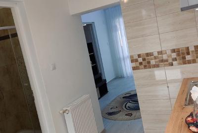 Duplex cu 1 camere cu Teren 350 Mp în Central - 3