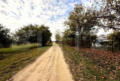 Teren Construcții extravilan de 29600 mp, în Nord-Vest - 1