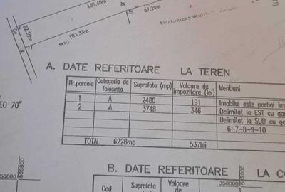 Teren Construcții intravilan de 3114 mp, în Ciolpani - 2
