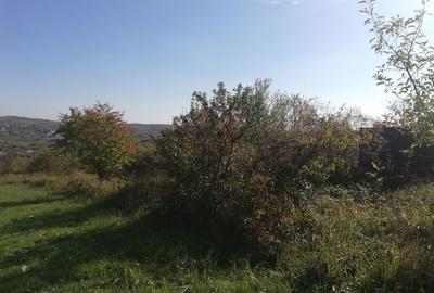 Spațiu comercial, în Central - 1