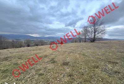 Teren de 2702 mp, în Vama Buzăului - 6