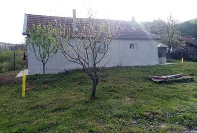 Casă cu 2 camere în Barbura - 7