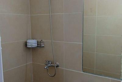 Camere de inchiriat la vila totul nou Casa de Cultura - 5