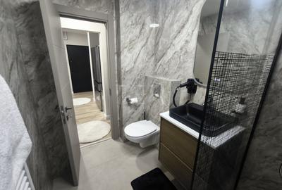 Apartament cu 2 camere decomandat, mobilat în Aviației - 21